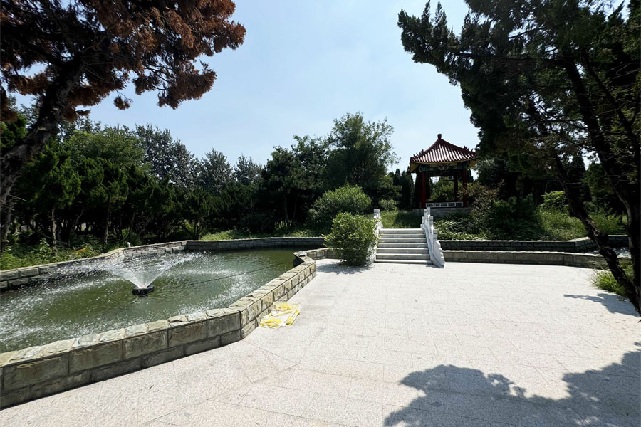 天津兰生园班车专线