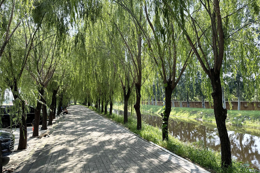 天津兰生园公墓需要预约吗？